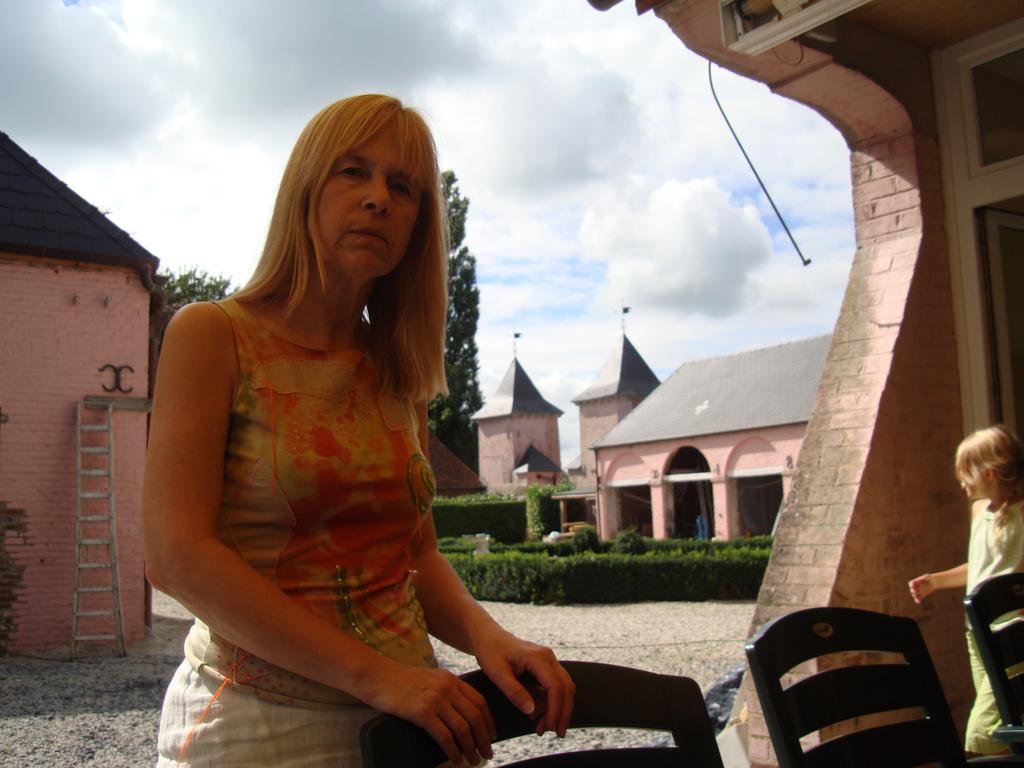 B&B Chateau Bagatelle Frasnes-lez-Anvaing Exterior foto