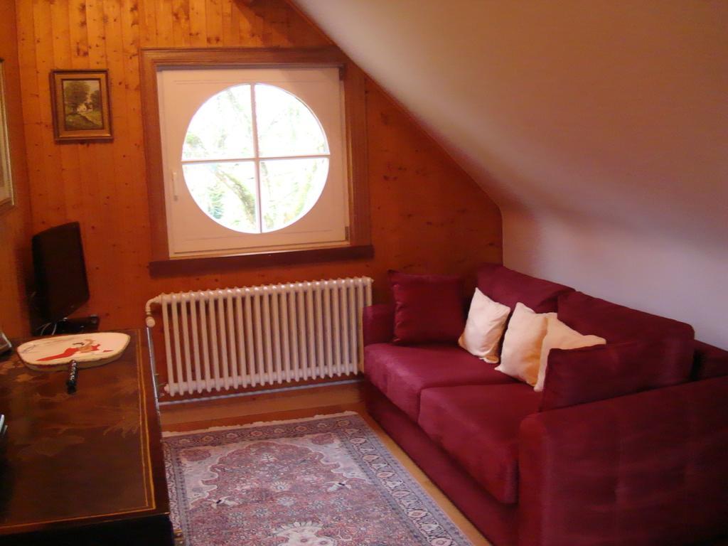 B&B Chateau Bagatelle Frasnes-lez-Anvaing Cameră foto