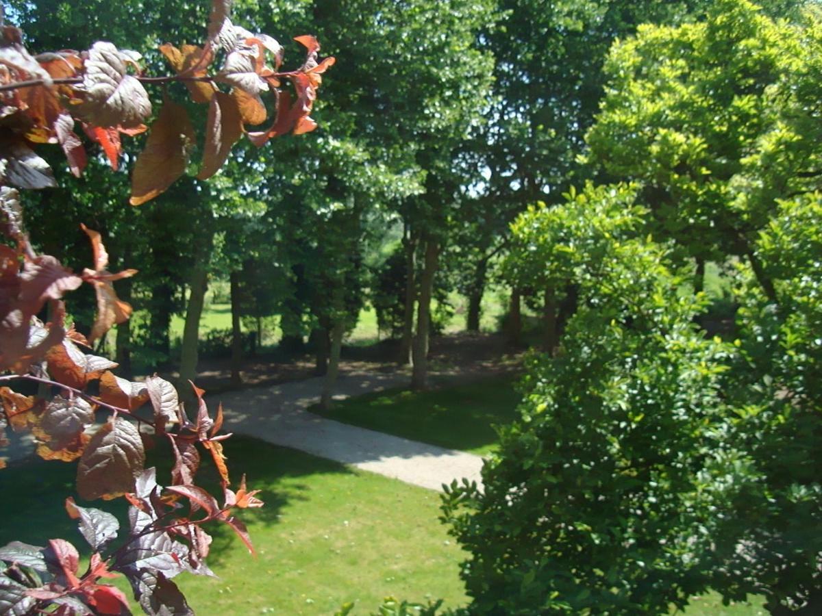 B&B Chateau Bagatelle Frasnes-lez-Anvaing Exterior foto